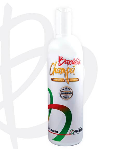 Baxidin Champú Medicado 100 ml