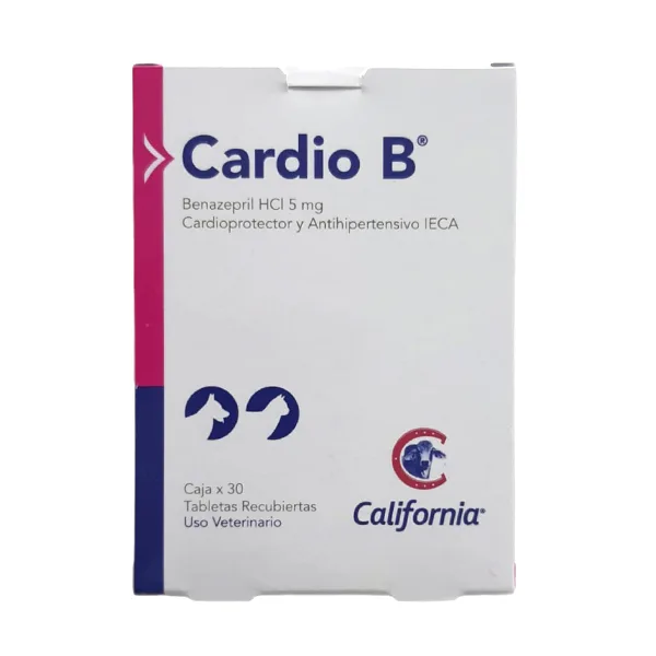 Cardio B