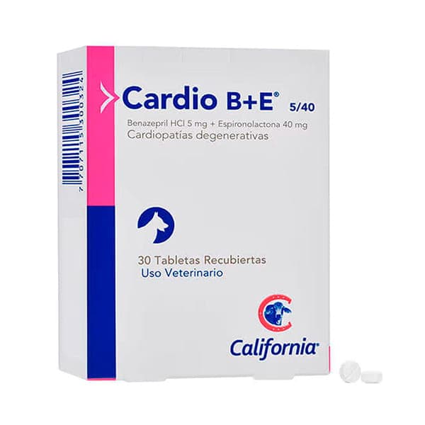 Cardio B+E