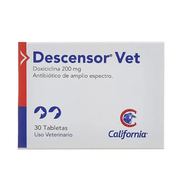 Descensor