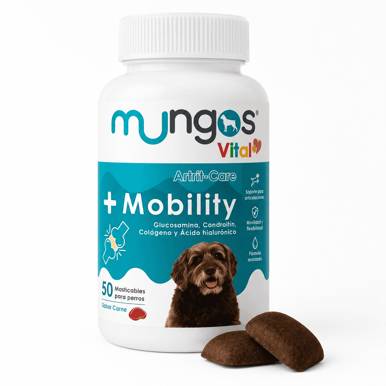 Mobility Dogs