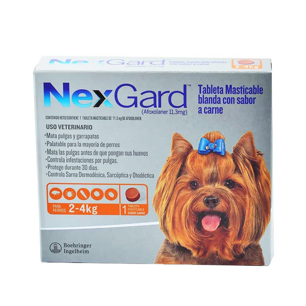 NexGard para Perros de 2 a 4 kg