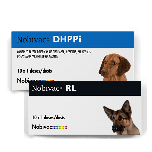 Vacuna Nobivac DHPPI + RL (séxtuple)
